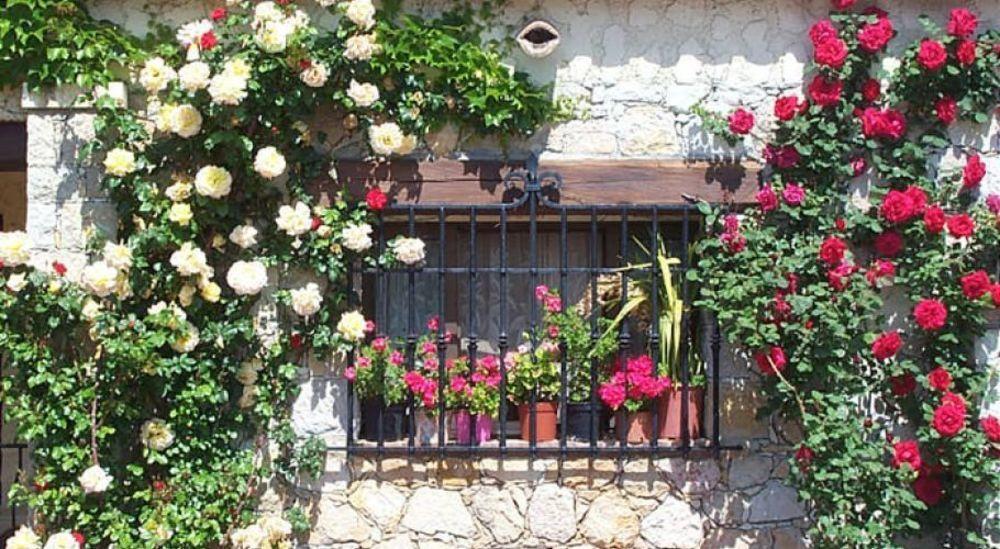 Castel Garoupe 3*